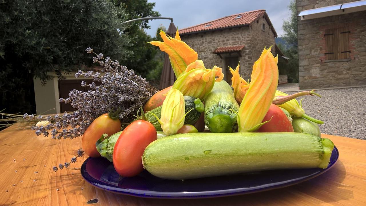Agripodere Il Falco Pontremoli Eksteriør billede